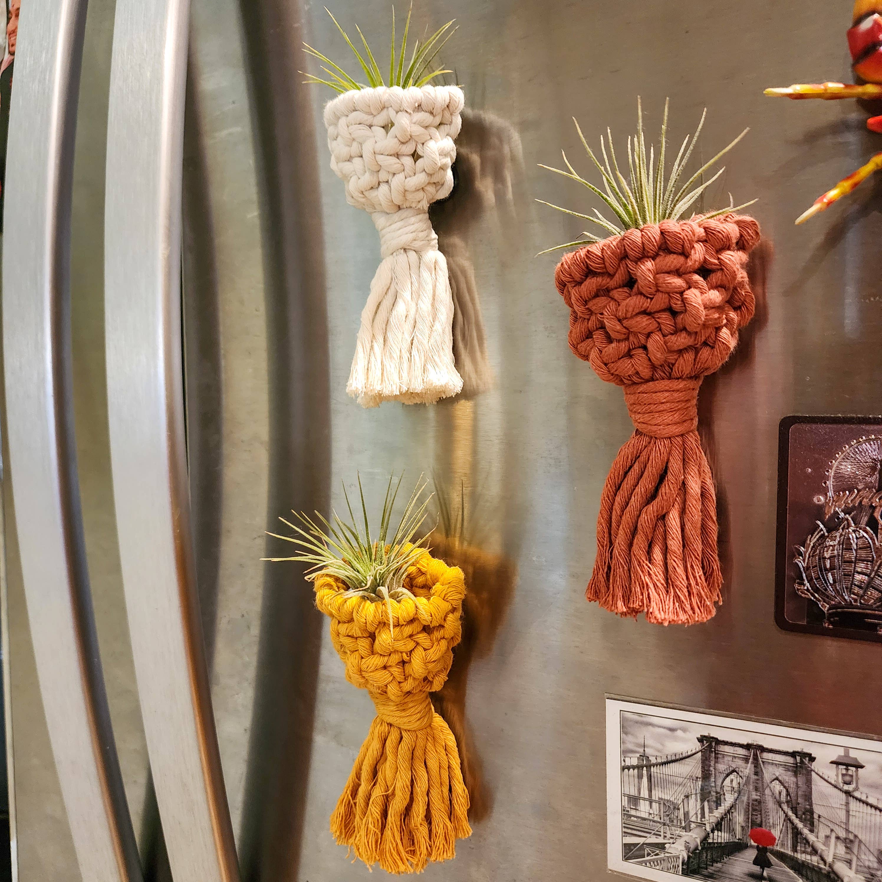 Handmade By Uruba - Vendita all'ingrosso Fioriere a sospensione - Porta Piante Aeree Magnetico per Frigorifero | Accessori per Piante Fatti a Mano6