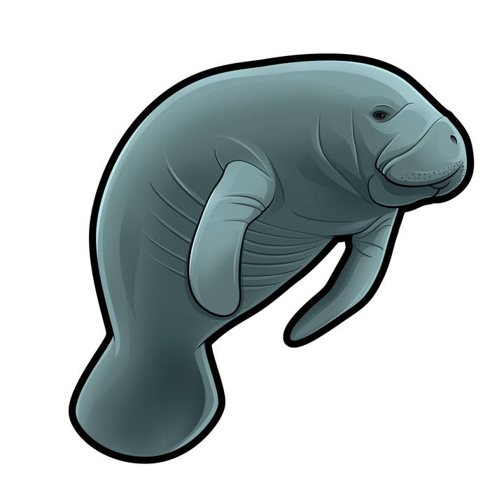 Manatee Mini Sticker - 50 Manatee Stickers for wholesale by Aurora Stickers