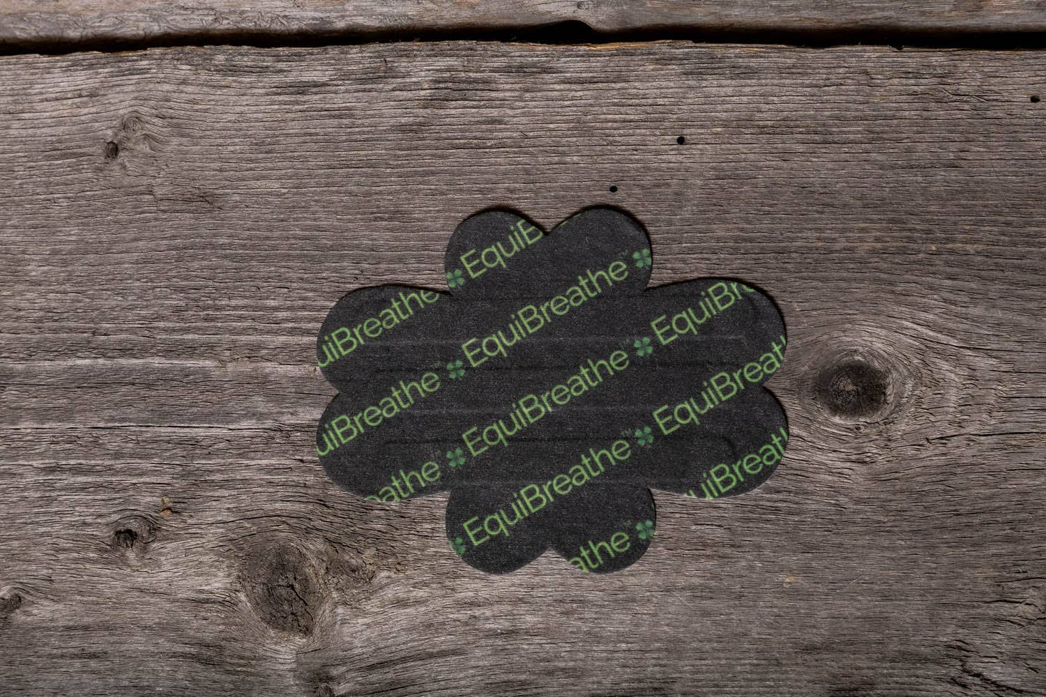 EquiBreathe™ - Vente Équipement d’équitation - Patch nasal équin EquiBreathe™ - EquiBreathe™1