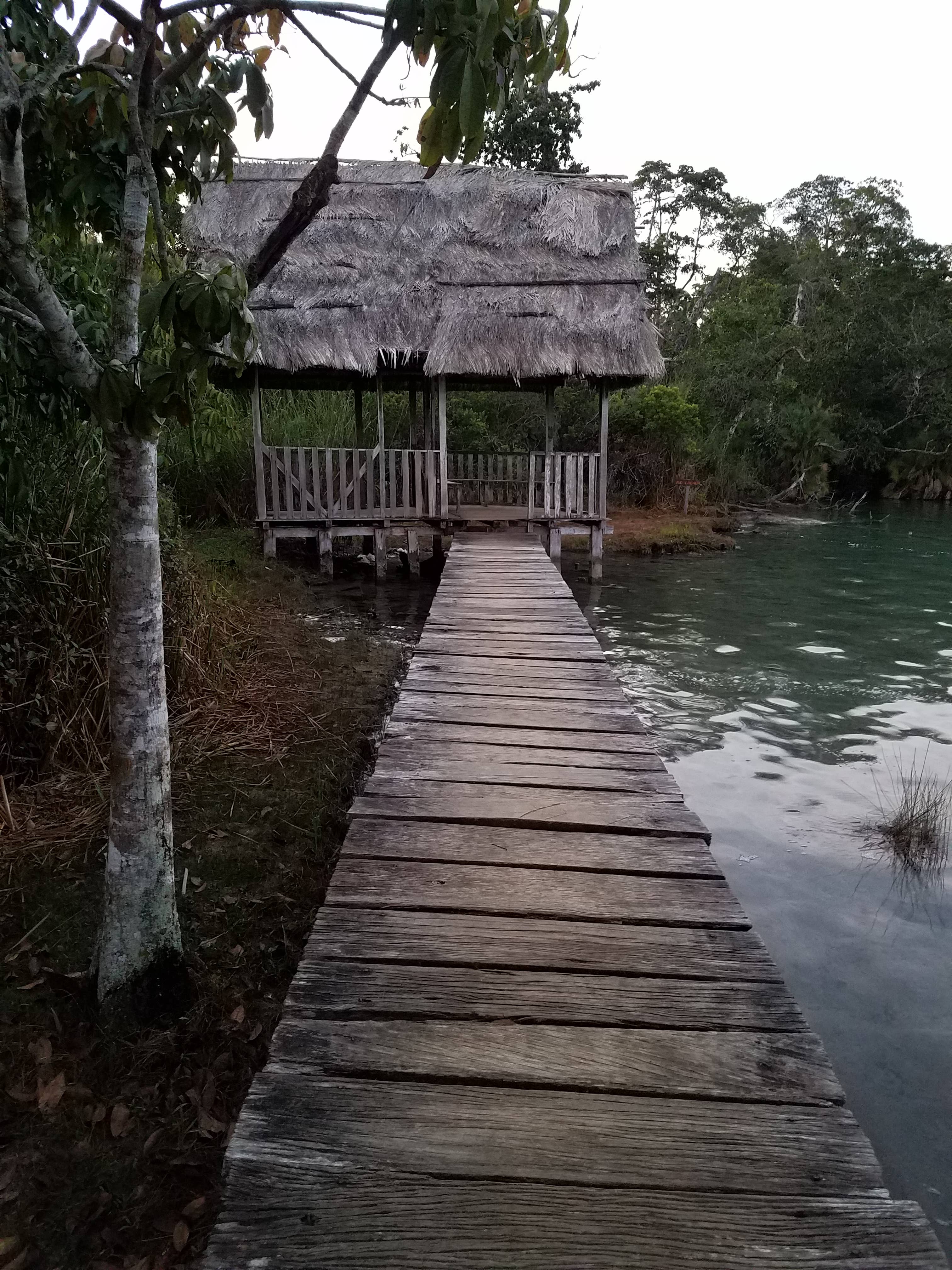 BOHO Chocolate – Barra de chocolate por atacado – 70% Chocolate Negro/GUATEMALA (USDA Biológico)3