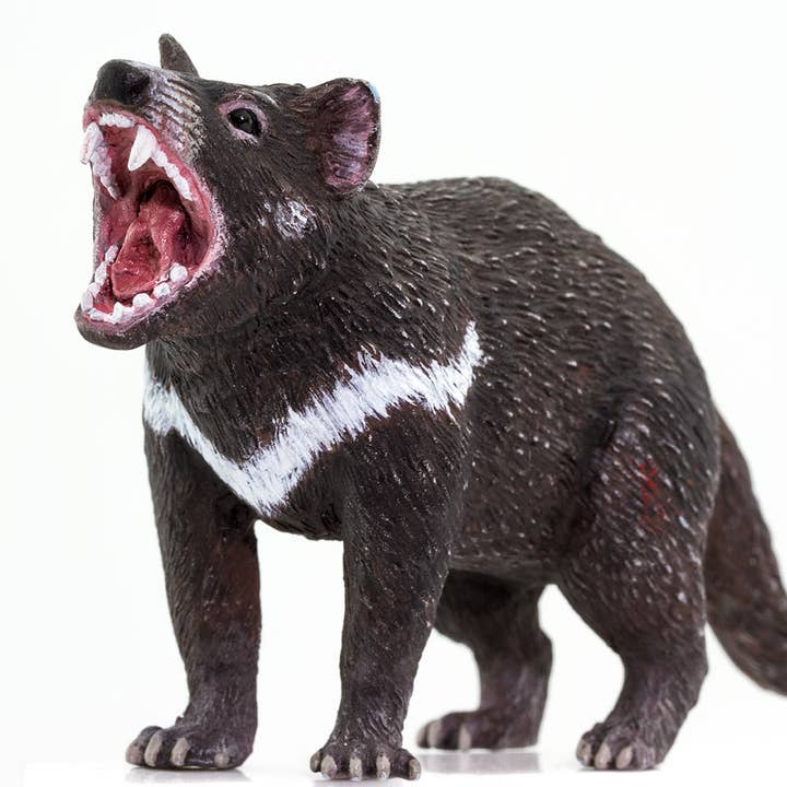 Safari Ltd. - Wholesale Figurine Toy - Kids - Tasmanian Devil - 1002474