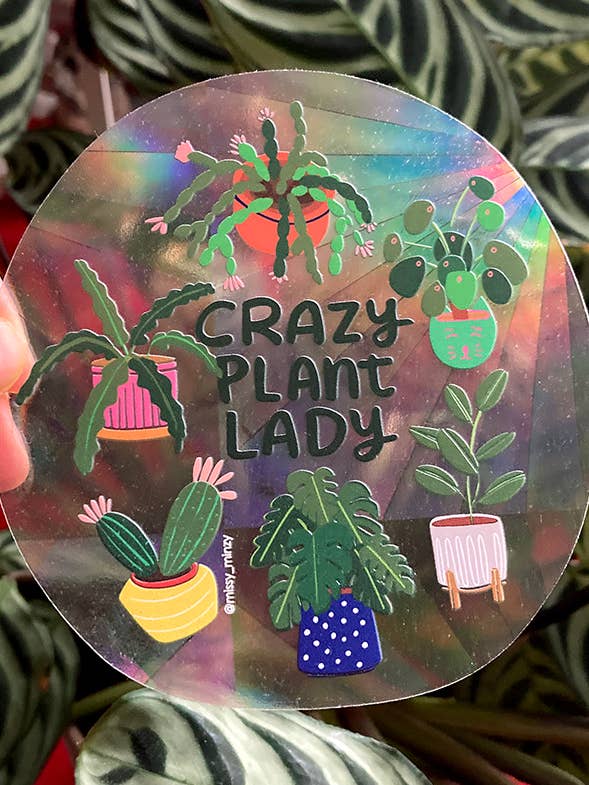 SUNCATCHER Crazy Plant Lady | Catch the Rainbow Suncatcher for wholesale by Missy Minzy