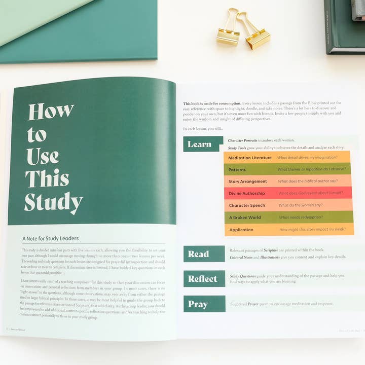 Paper Peony Press - Wholesale Religion - Brave and Beloved: A Bible Study Exploring the Wisdom and Di3