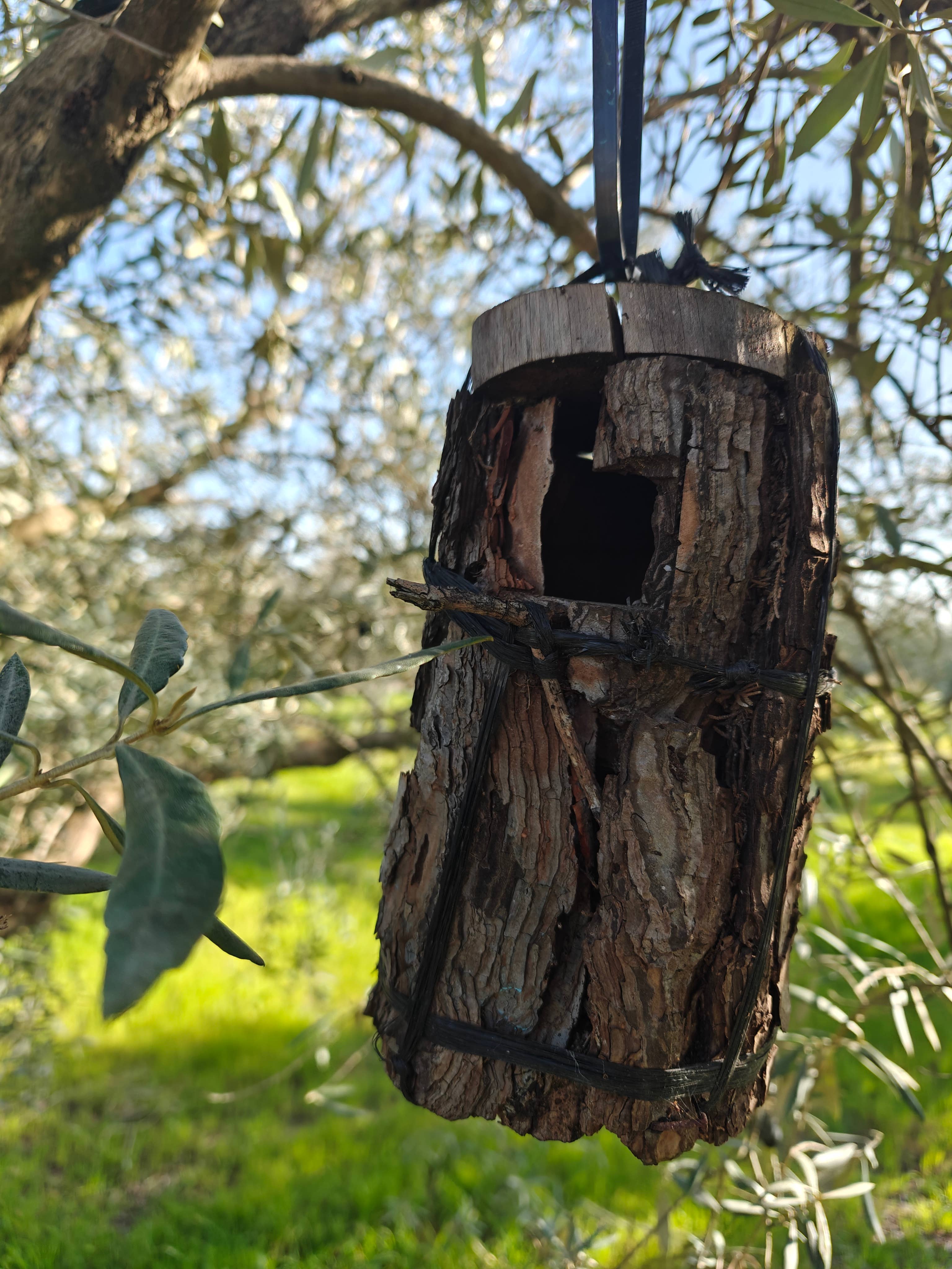 ACEITES RENACER - Wholesale Olive Oil - Organic extra virgin olive oil Bottle 500ml Box of 124