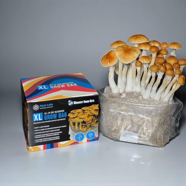 Midwest Grow Kits - Wholesale Planting/potting soil - XL All-in-One Mushroom Grow Bag (6 lbs) for Manure Loving Mushrooms2