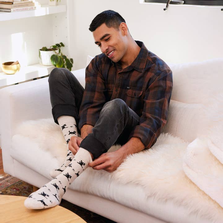 Conscious Step - Wholesale Socks - Unisex - Socks that Save Cats (Beige Cats)