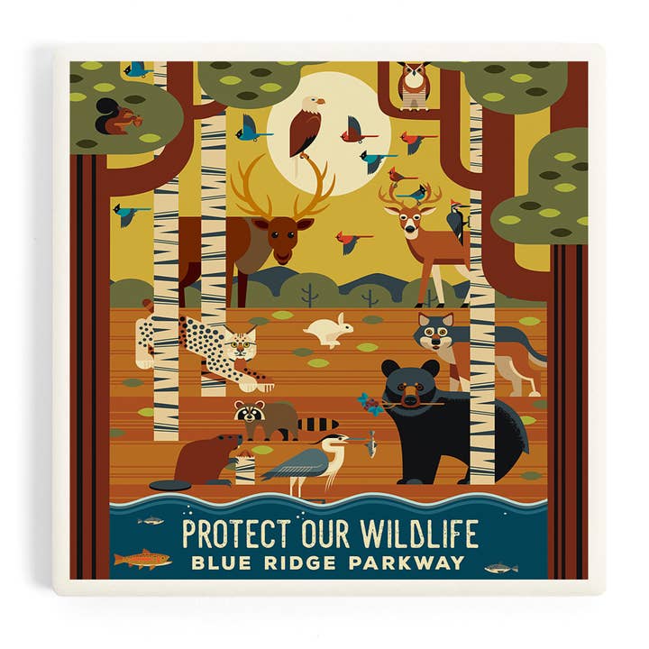 Ceramic Coaster Blue Ridge Parkway, Protect our Wildlife,… for wholesale by Lantern Press
