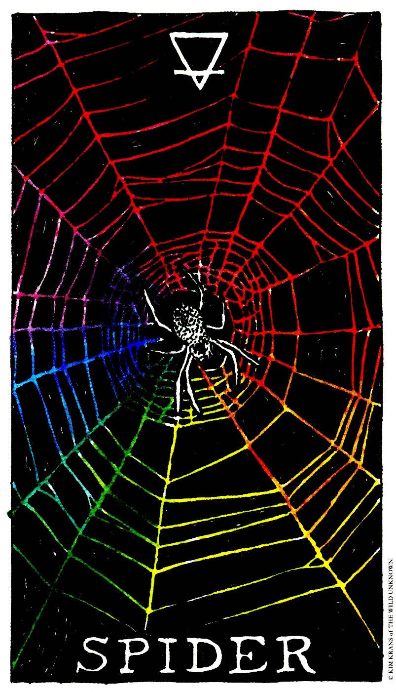 HarperCollins - Wholesale Tarot/Oracle Card - Wild Unknown Animal Spirit Deck and Guidebook1