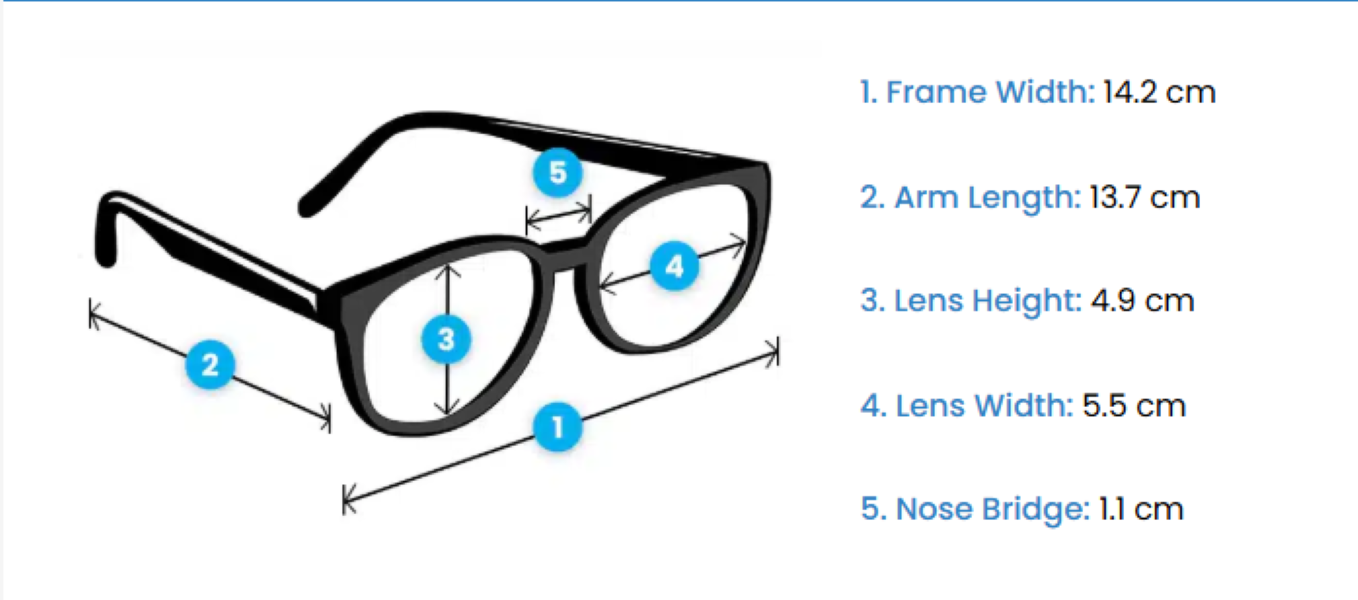 Remaldi® – wholesale Sunglasses – Women's – Clara Tortoise Polarised Sunglasses2