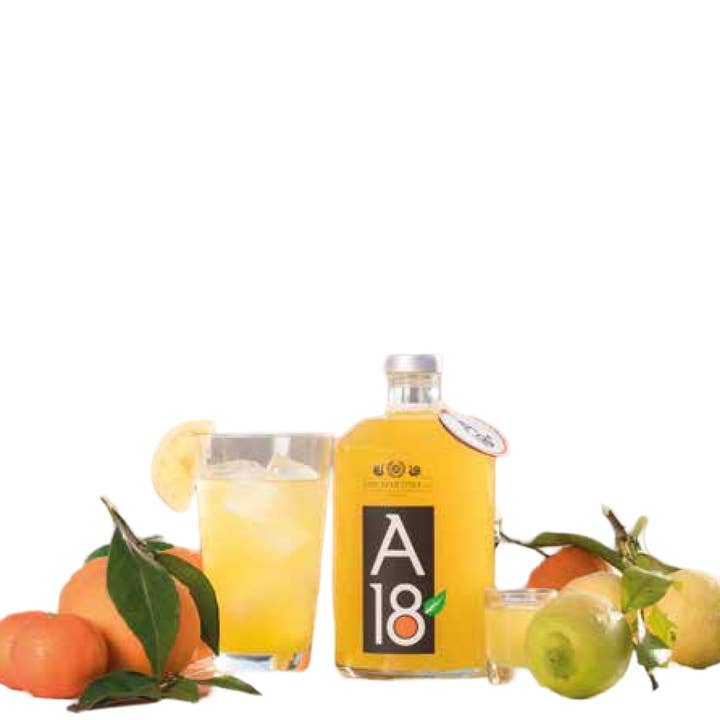 San Martino Liquori - Wholesale Liqueur - A18 Sardinian Citrus at 18° 1 liter