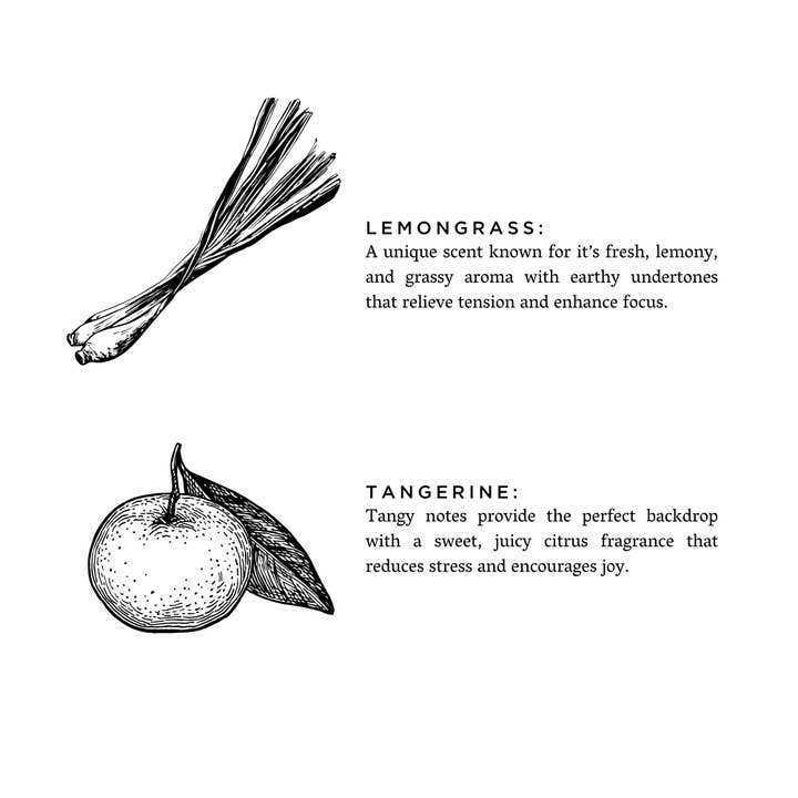 Slow North - Vente Bougie en bocal - Citronnelle + Mandarine - Bougie Non-Toxique, Huiles Essentielles4