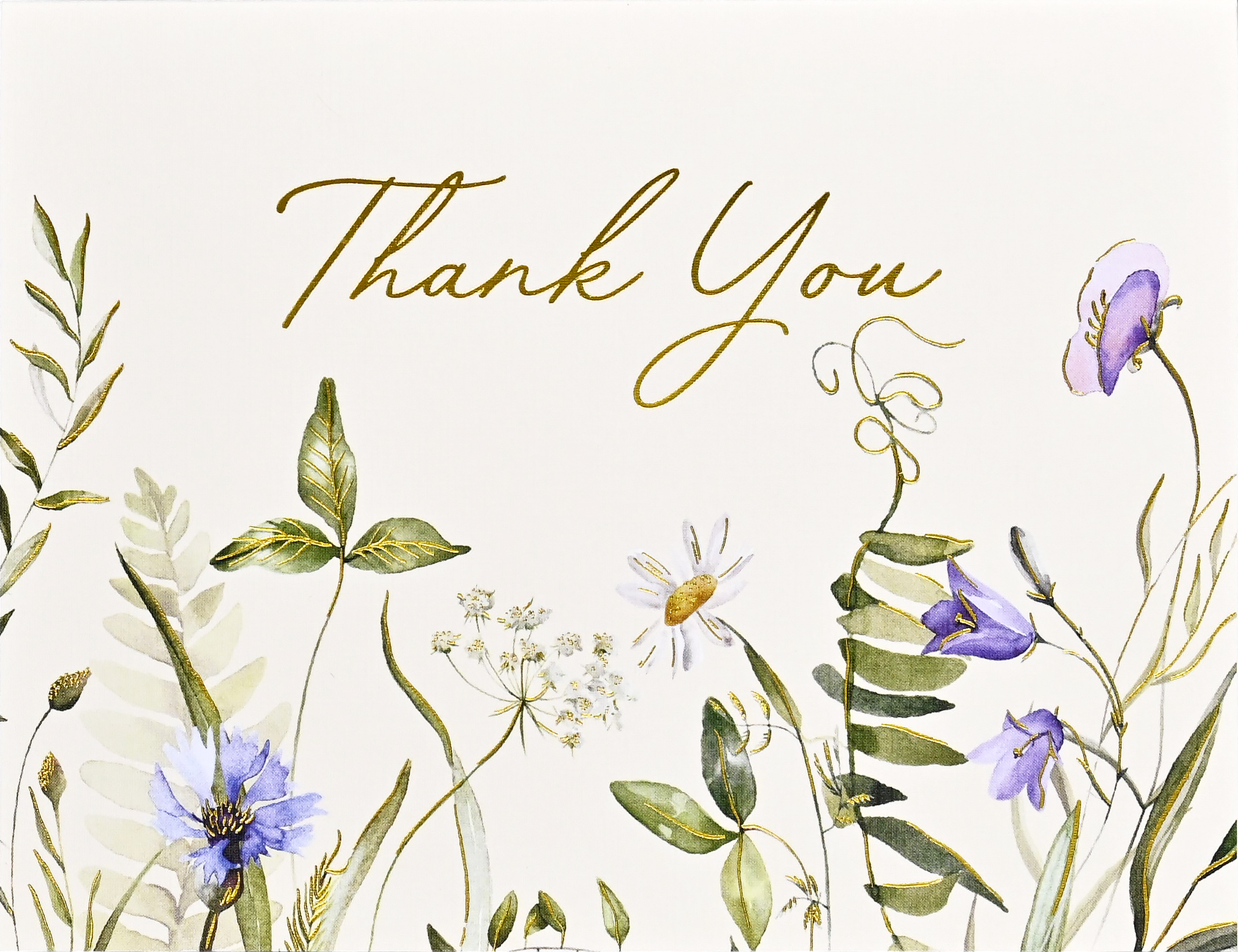 Peter Pauper Press - Wholesale Stationery/Notecard Set - Wildflowers Premium Thank You Note Cards5