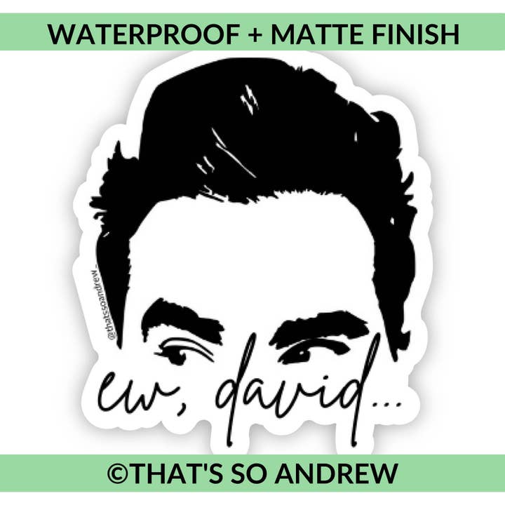 That’s So Andrew - Wholesale Sticker - Ew, David Vinyl Sticker2