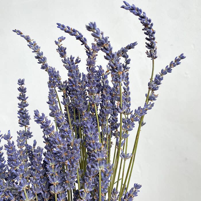 We Dried Our Best - Vendita all'ingrosso Fiori secchi/pressati - Lavanda naturale essiccata, profumata, 45 cm, 100 g
