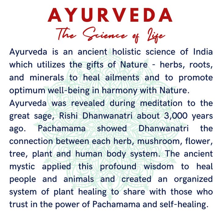 The Sacred Essence - Wholesale Gezichtsserum/concentraat - AYURVEDA SAFFRAAN OIL - Voor stralende huid en mooi haar