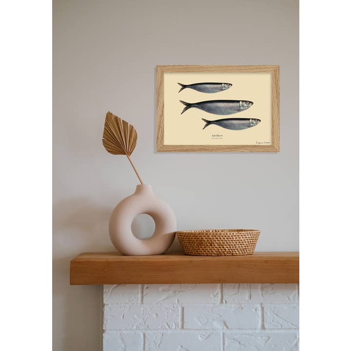 Sergeant Paper - Wholesale Art Print - Suzanne D'Hulst - Sardine - Food Art Print