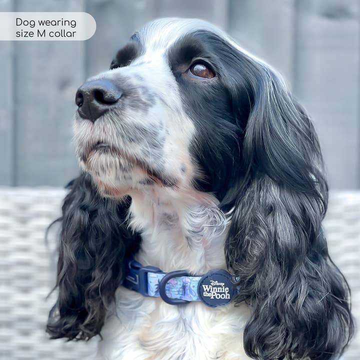 Pawsome Paws – wholesale Pet collar – Dog – Disney© Collar - Eeyore