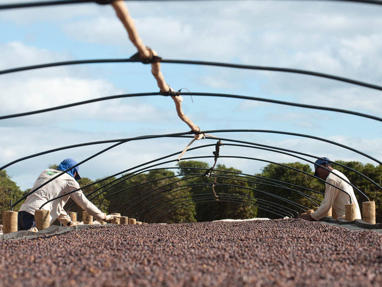 Oak and Bond Coffee Co. - Wholesale Coffee Beans - Bourbon Barrel Aged Coffee8