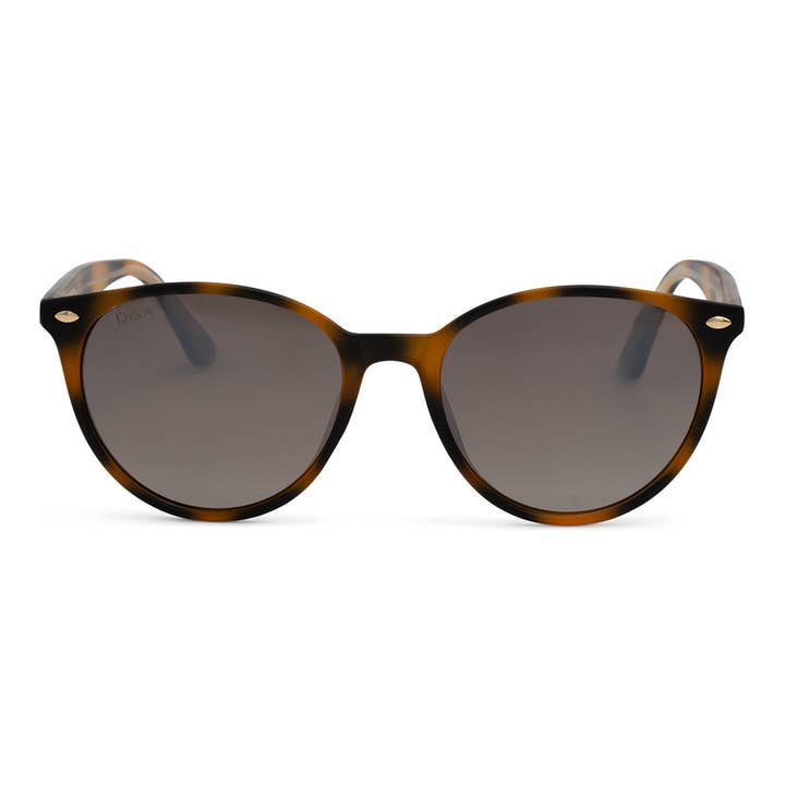 DAX Eyewear - Wholesale Sunglasses - Women's - Asher