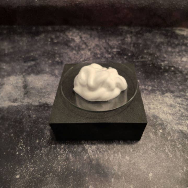 FNT Homestead - Wholesale Hand Soap/Wash - Vanilla Pod and Tonka Foaming Hand Soap3