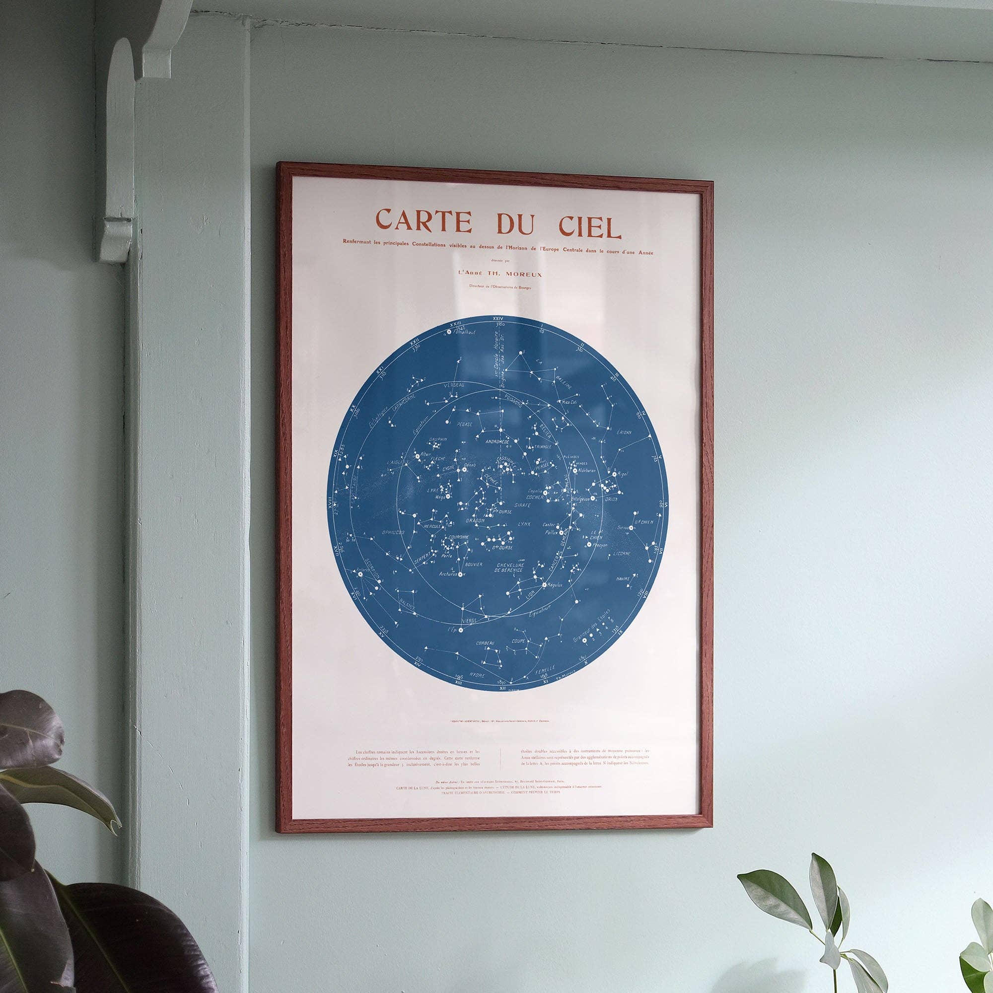 Aster Edition - Wholesale Poster - Poster: Sky Map - Constellations1