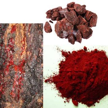 Herbal Cure - Wholesale Incense - Dragon Blood Resin 50g