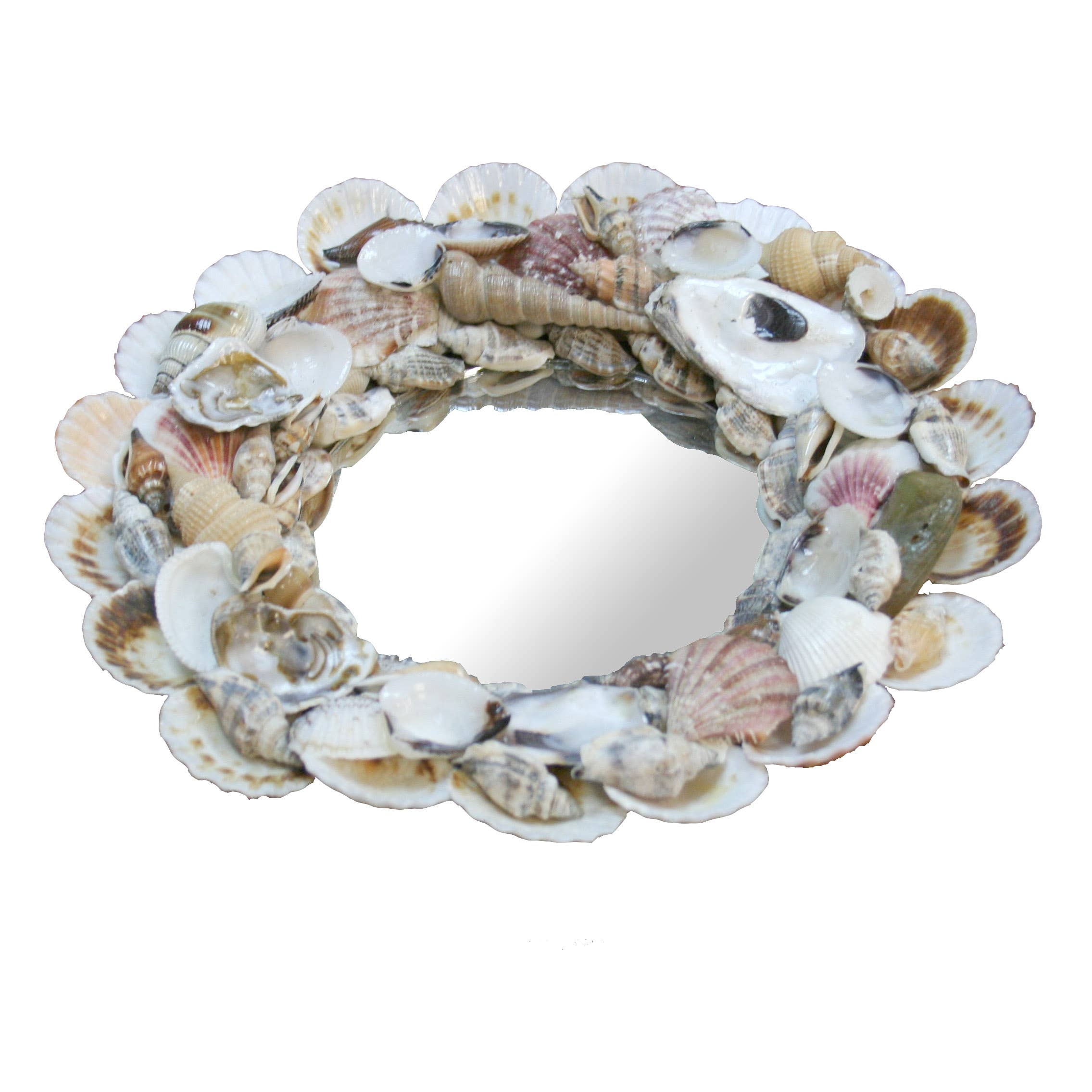 Modern Coastal by Contrast Inc. - Vendita all'ingrosso Specchi da parete - Specchio Shell assortito1