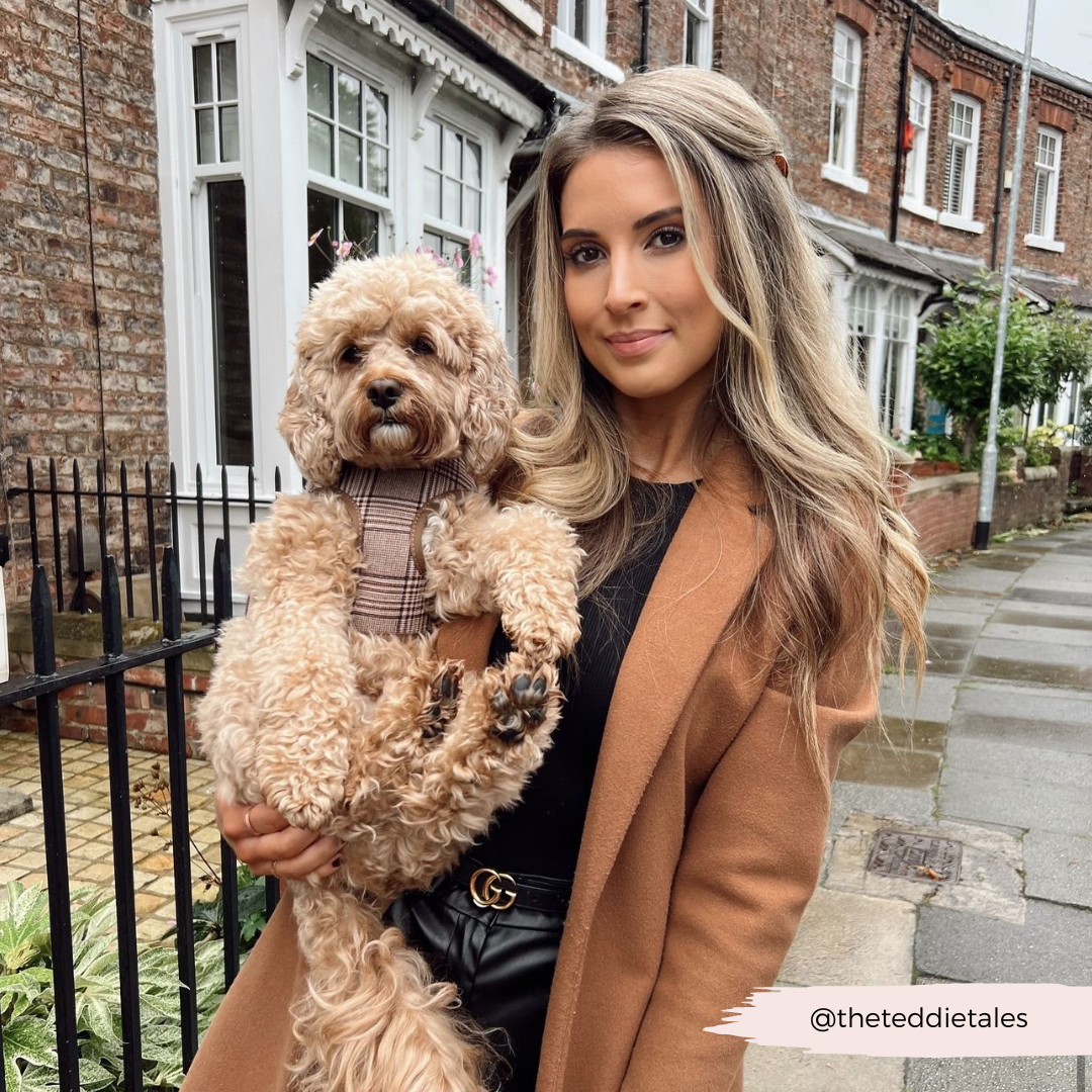 Cocopup London - Wholesale Pet Harness - Dog - Pup Plaid Adjustable Neck Harness26