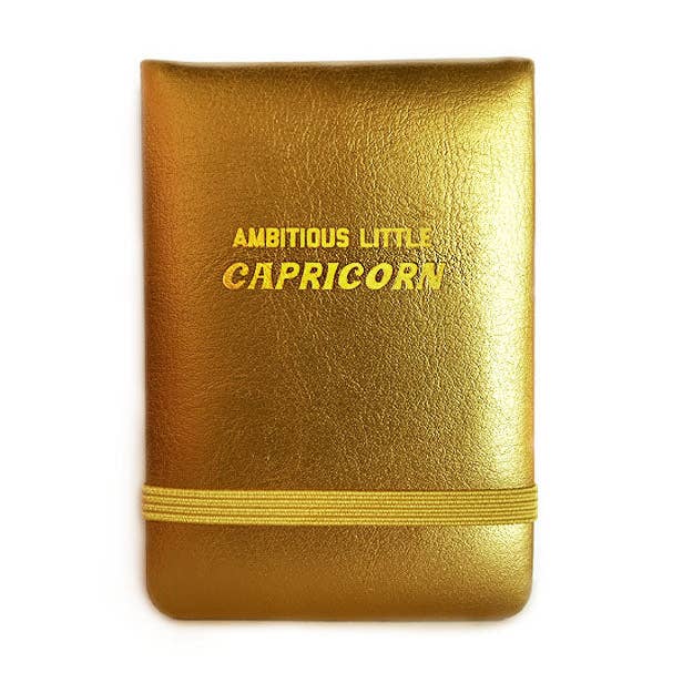 Ehrgeiziger kleiner Steinbock - Mini-Tagebuch für den Großhandel von Golden Gems