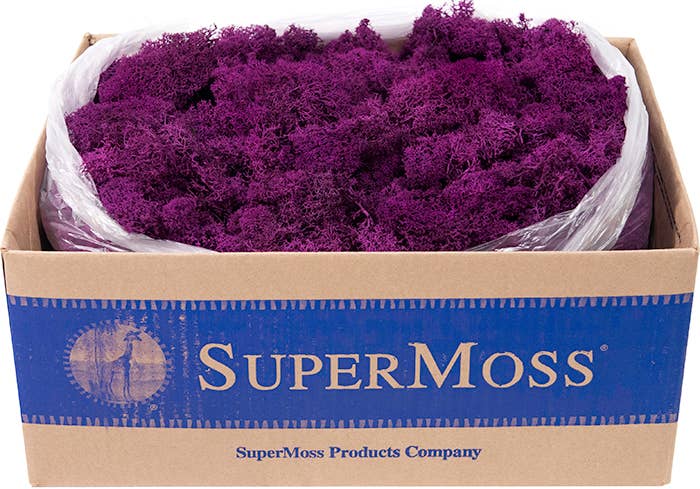 SuperMoss - Wholesale Dried/Pressed Flowers - Reindeer Moss Preserved 3lb Bulk Box19
