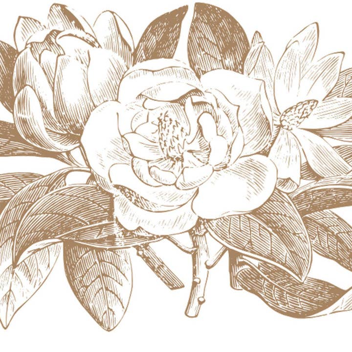 Magnolia for wholesale by Bien Ecrit