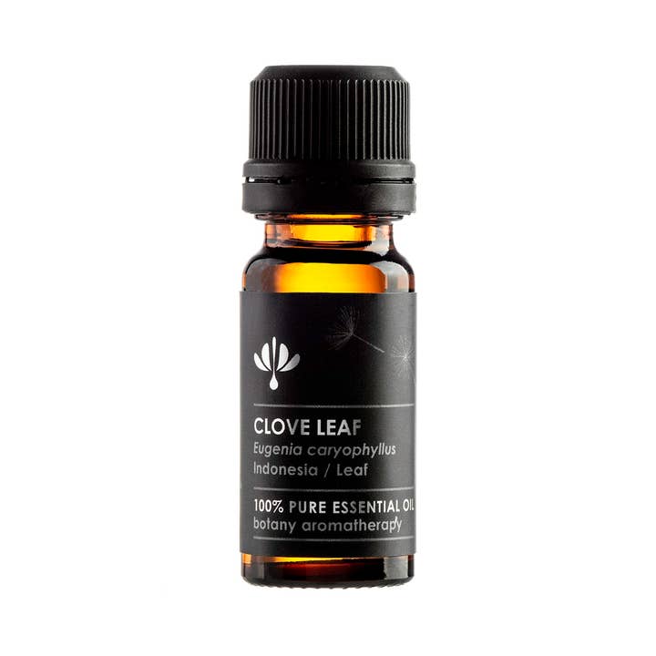 Botany - Wholesale Essential oil - Clove Leaf (Eugenia Carophyllate)