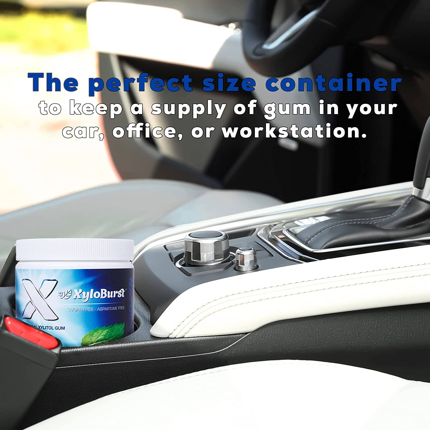 Focus Nutrition - Wholesale Chewing Gum - XyloBurst Sugar Free Xylitol Peppermint Gum 100 ct. Jar4