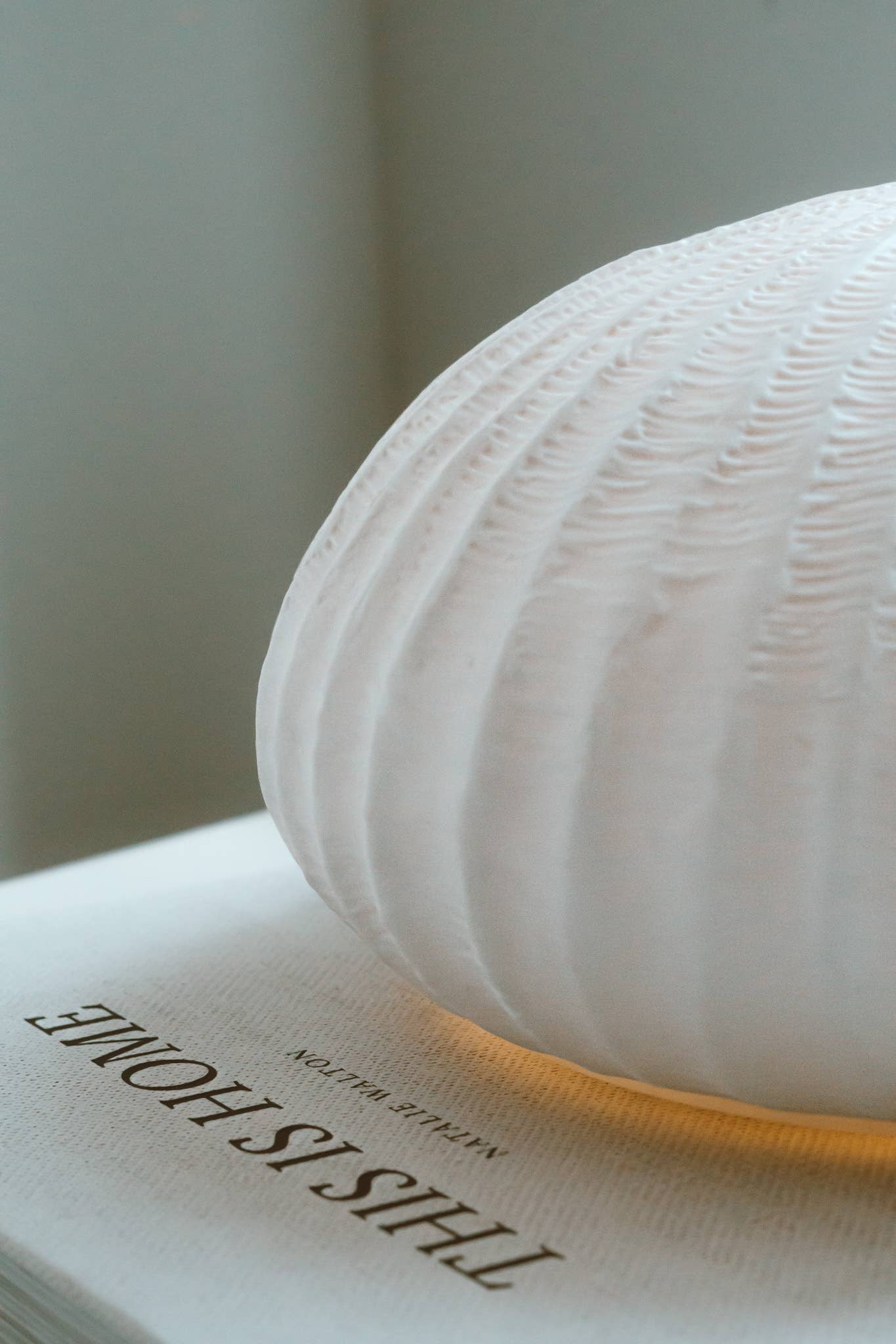 Made By Zen - Vendita all'ingrosso Diffusore elettronico - Diffusore di aromi Oceania 4