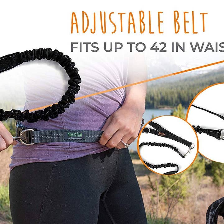 Mighty Paw - Wholesale Pet Leash - Dog - Hands Free Bungee Leash Set5