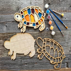 String of The Art Craft Kits - Turtle String Art Kit