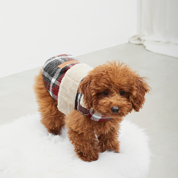 ARISTOPET – wholesale Ytterkläder - Hund – HUNDROCK LÖV10