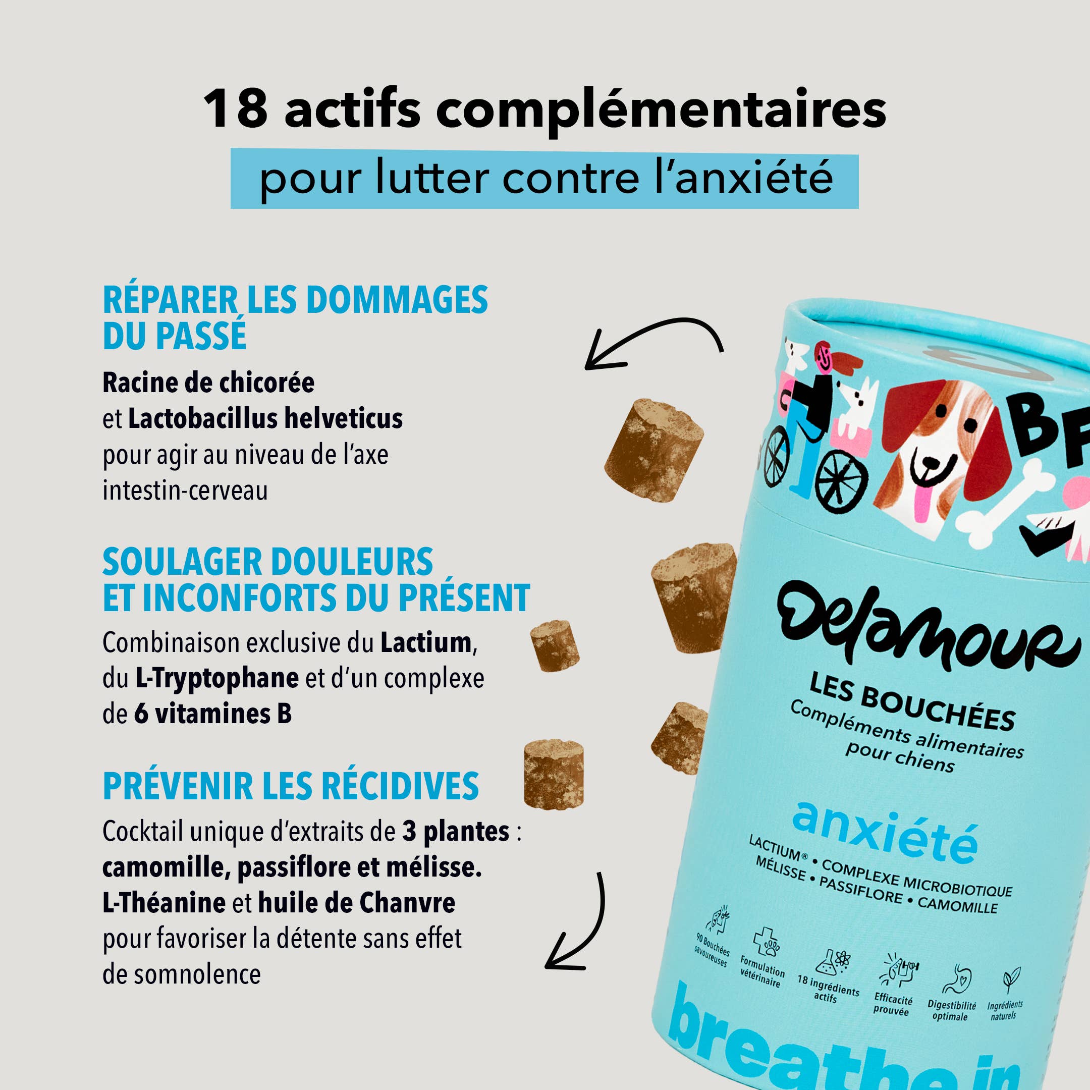 Delamour - Wholesale Pet Supplement - Dog - Les Bouchées - 90 chews to fight Anxiety (270g)3