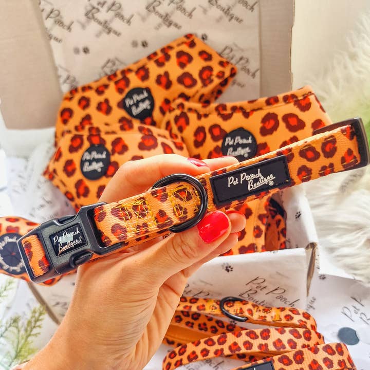 Pet Pooch Boutique - Wholesale Pet Collar - Dog - Spiced Honey Leopard Puppy or Dog Collar (animal print)