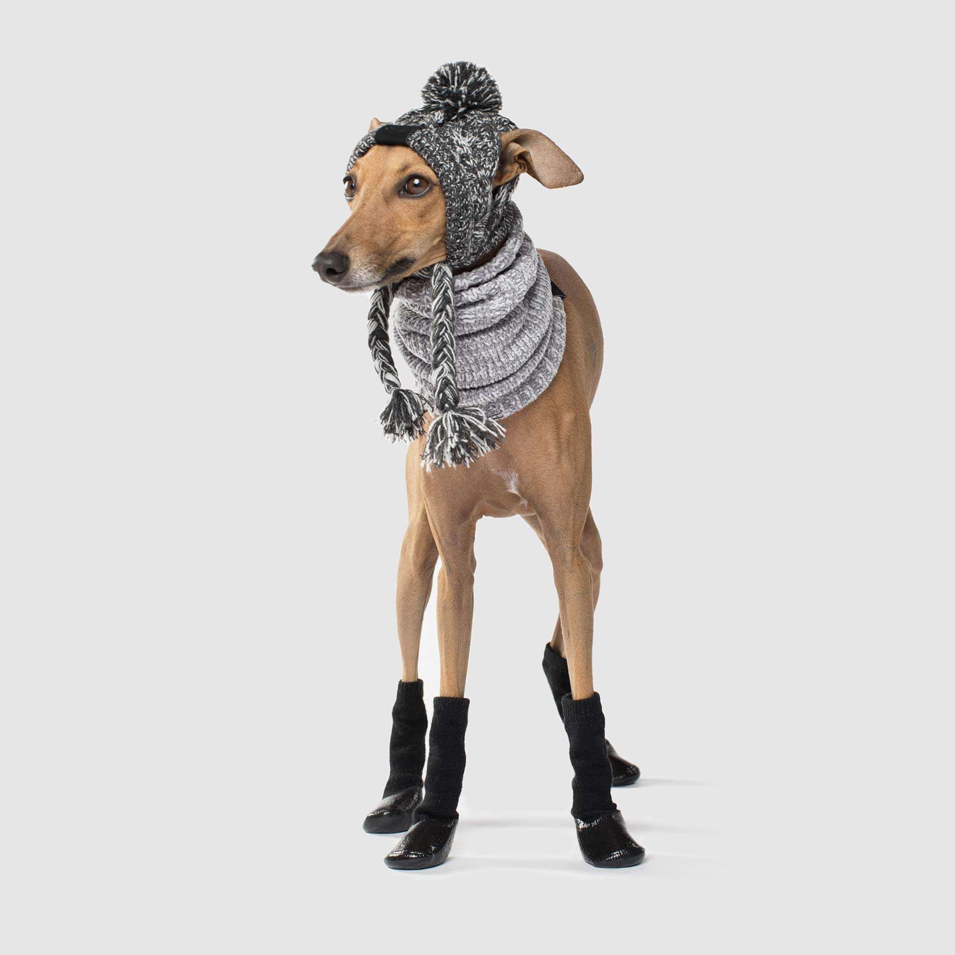 Canada Pooch - Wholesale Pet Socks - Dog - Slouchy Socks- Dog Socks5