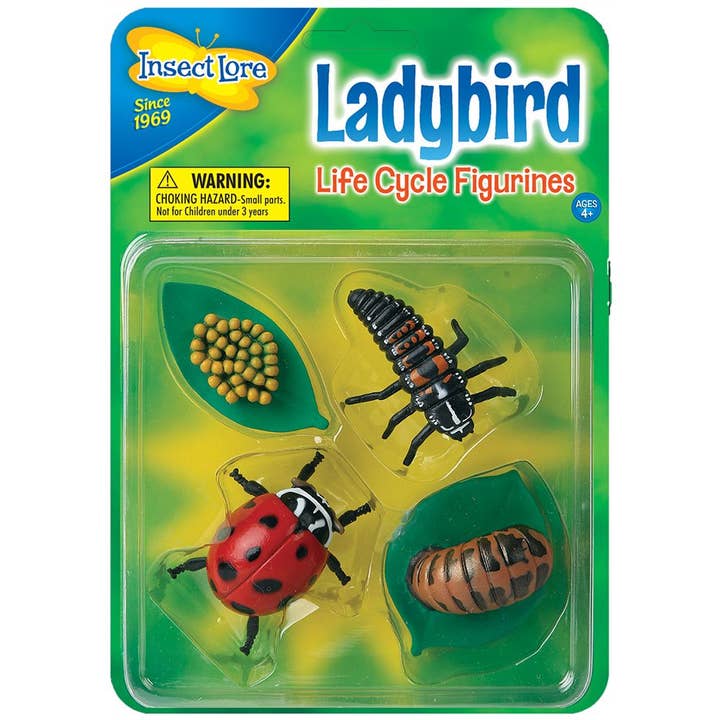 Insect Lore – wholesale Figurine toy – Kids – Life Cycle Figurines - Ladybird