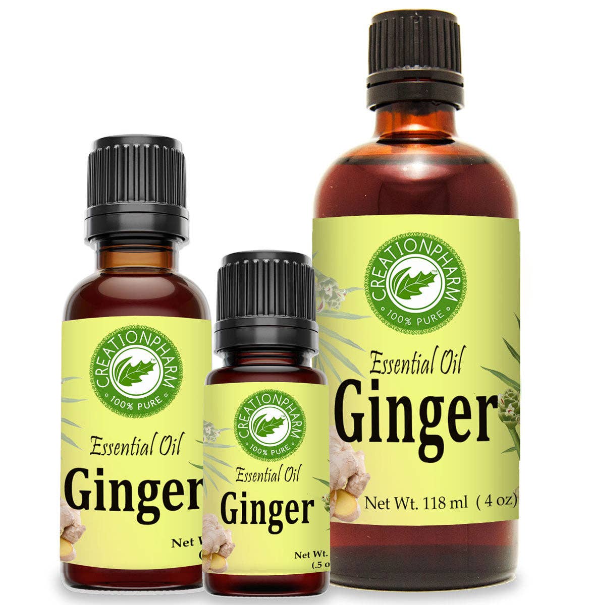 Creation Farm Inc – wholesale Essential oil – Ginger Essential Oil 100 Percent Pure by Creation Pharm Steam Distilled Zingiber Officinalis5