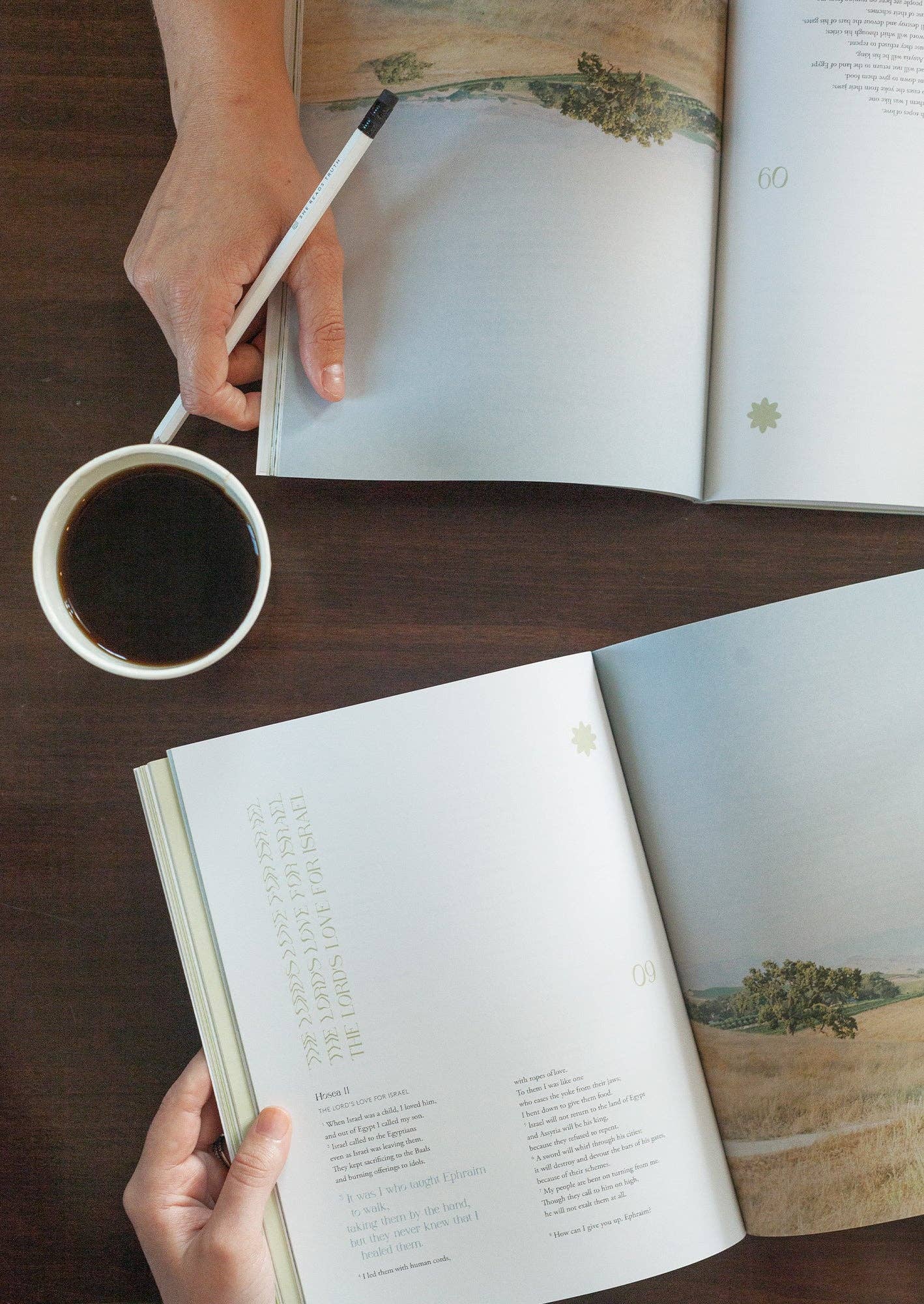 She Reads Truth - Wholesale Religion Book - Hosea Study Book | She Reads Truth3