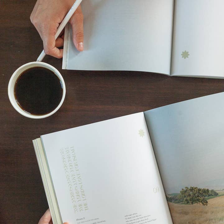 She Reads Truth - Wholesale Religion Book - Hosea Study Book | She Reads Truth3