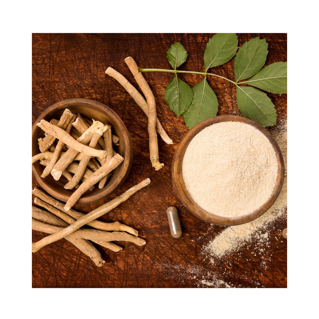 Practicality Skin & Body care - Wholesale Herbs - Organic Sarsaparilla Root