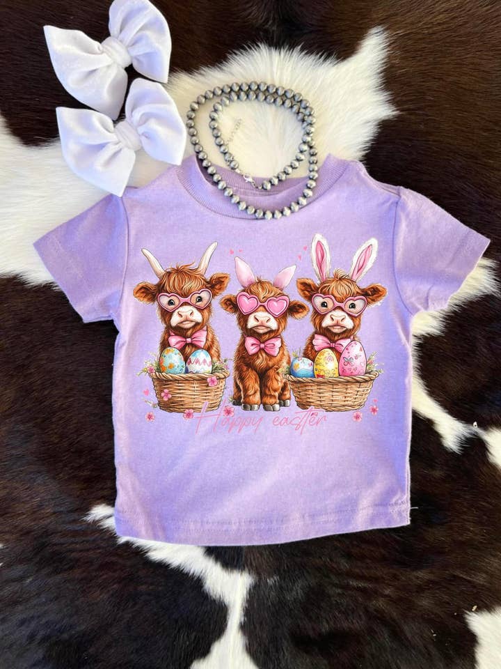 Trois vaches des Highlands de Pâques pour la vente par Buckin Baby Wholesale