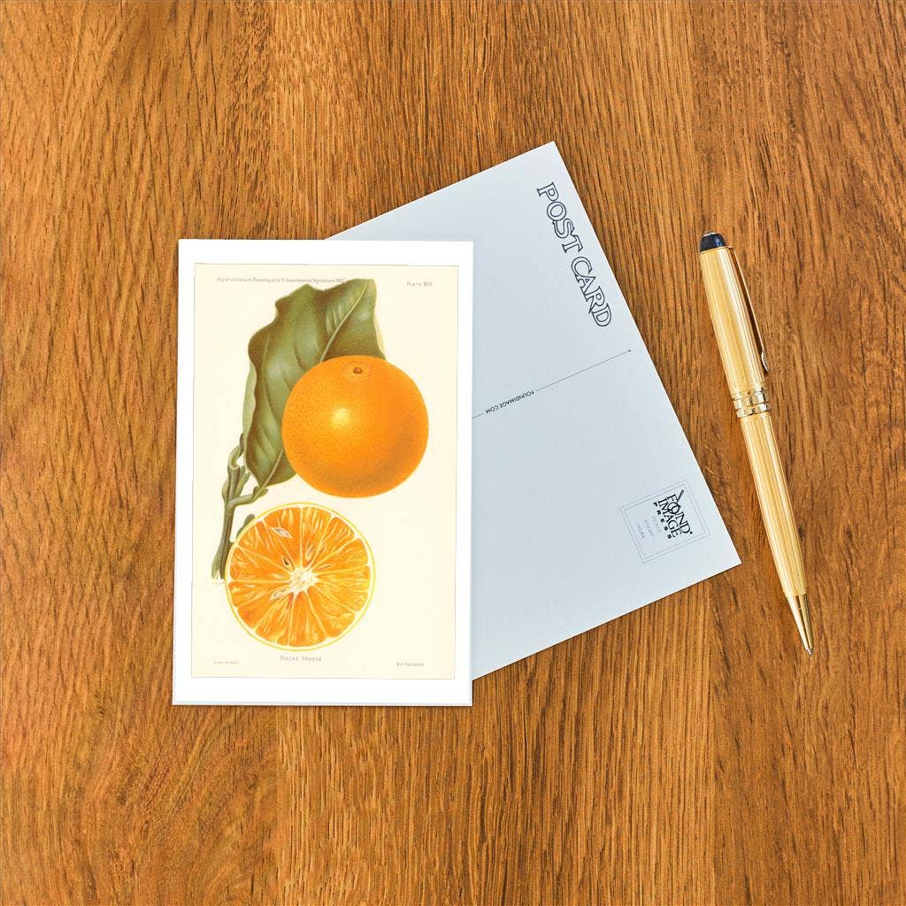 Found Image Press - Wholesale Postcard - Postcard FR-275 Boone Orange1
