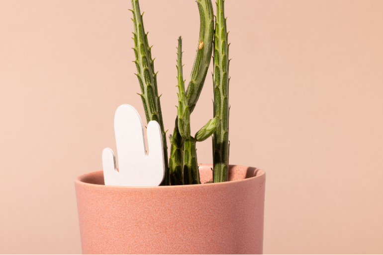 PlantDoc - Wholesale Garden Tool - Cactus PlantDoc: Color-Change Plant Moisture Meter2