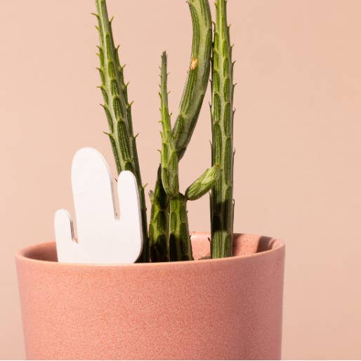 PlantDoc - Wholesale Garden Tool - Cactus PlantDoc: Color-Change Plant Moisture Meter2