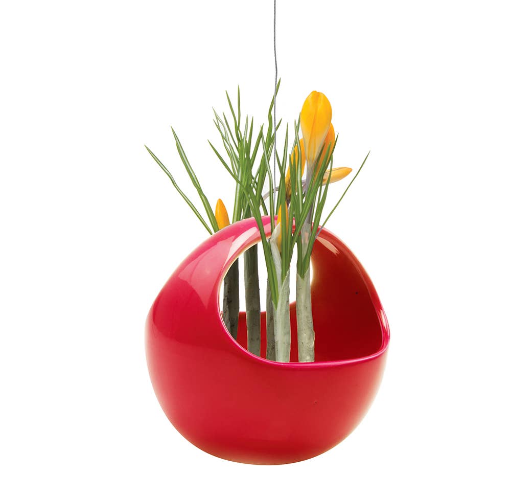 Chive - Vente Jardinière suspendue - Suspension pour plantes grasses3